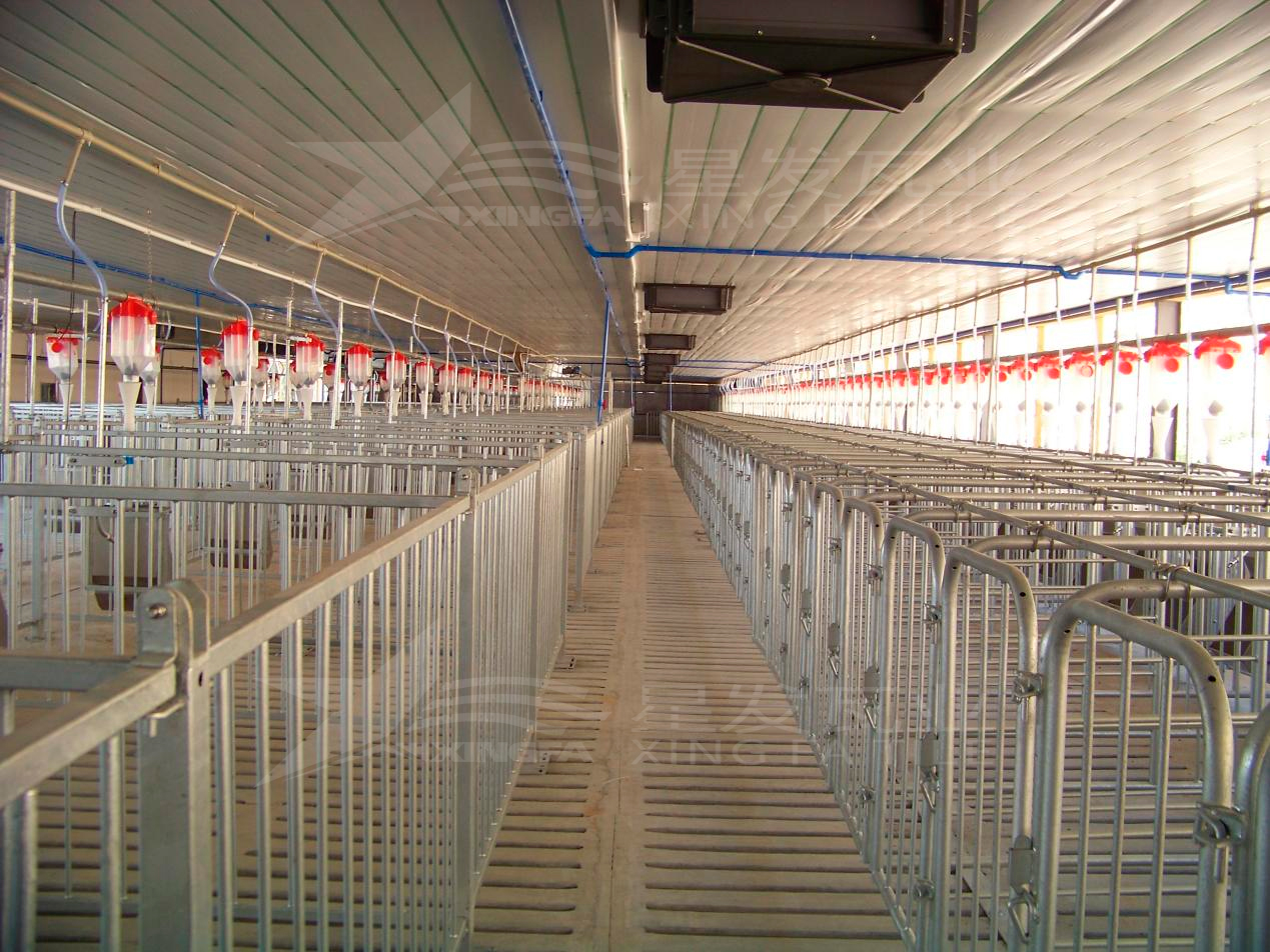 高溫來襲，養(yǎng)殖場安裝樹脂瓦，為小動物營造避暑勝地